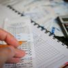 Guvernul ar putea renunta la consultantii fiscali pentru plata impozitului pe gospodarie. Noul sistem de impozitare ar putea fi amanat cu un an