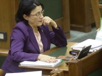 Senatul aproba inceperea urmarii penale in cazul Ecaterinei Andronescu