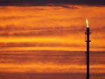 Pretul petrolului se prabuseste, dupa decizia OPEC de a nu miscora productia. Castigatori si perdanti in urma celui mai mare declin de dupa 2010