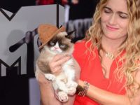 Grumpy Cat i-a adus proprietarei o avere de 100 mil. dolari