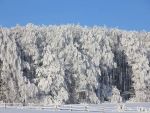 Minima acestei ierni: minus 32 de grade Celsius la Intorsura Buzaului, in noaptea de Anul Nou