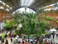 Alerta falsa cu bomba la gara Atocha din Madrid. Statia a fost evacuata