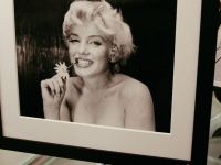 Marilyn Monroe, noua imagine a brandului Max Factor