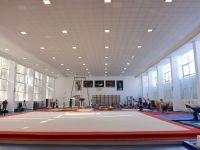 Romania va organiza pentru a doua oara in istorie CE de gimnastica