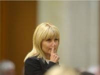 
	Elena Udrea, audiata de ore intregi de procurorii DNA. Fostul ministru poate fi retinut in dosarele &ldquo;Gala Bute&quot; si &quot;Microsoft&quot;, dupa ce deputatii i-au ridicat imunitatea

