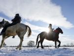 Inca o sarbatoare propusa ca zi libera pentru romani