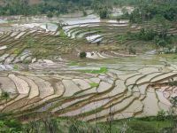 Cutremur puternic in largul insulei indoneziene Sumatra