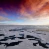 Ofertele Targului de Turism: de la plateste unul, pleaca doi , la sejururi de peste 5.000 de euro. Antarctica, Patagonia sau Galapagos, printre cele mai exotice destinatii