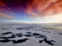 Anomaliile extreme ale vremii: Europa îngheață la -35 de grade, Polul Nord se topește