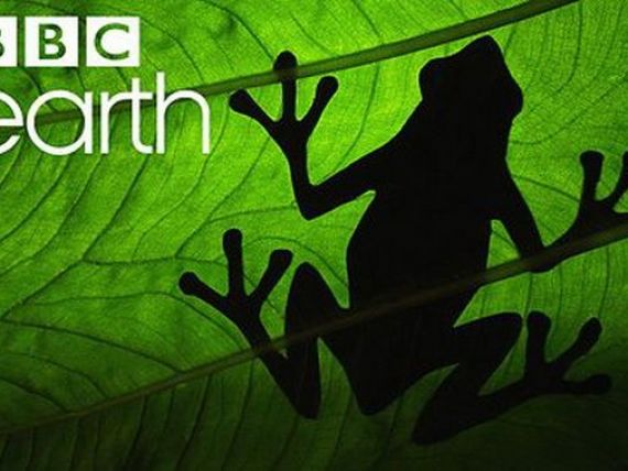BBC Worldwide a lansat in Romania noul sau post de televiziune BBC Earth