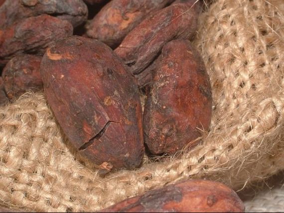 Preturi mai mari la ciocolata, dupa scaderea neasteptata a productiei de cacao din Ghana, al doilea producator mondial