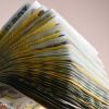 Creditele in lei luate de romani au crescut in ultimele doua luni cu peste 30%. Imprumuturile in valuta au scazut cu 10%. Explicatiile si avertizarile analistilor