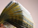 Romania, crestere economica de 3,7%, in primele noua luni din 2015. In T3 avansul PIB a fost de 1,4%