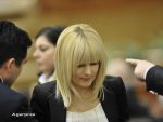 Dosarul Gala Bute : Gheorghe Nastasia a spus ca i-a dat o geanta cu 900.000 euro Elenei Udrea