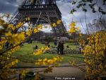 Amenzi usturatoare la Paris pentru cei care arunca mucuri de tigara pe strada
