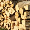 Razboi pe preturile de pornire ale lemnului. Romsilva le-a triplat, iar cei din industrie spun ca vor intra curand in criza