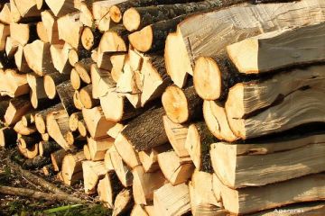 Razboi pe preturile de pornire ale lemnului. Romsilva le-a triplat, iar cei din industrie spun ca vor intra curand in criza