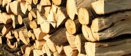 Holzindustrie Schweighofer deschide o noua fabrica, la Reci, in Covasna, dupa o investitie de 150 mil. euro