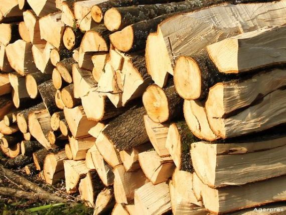 Ministerul Mediului vrea sa interzica exportul de busteni, cherestea si lemn de foc, pe termen limitat. Ponta: Miercuri dezbatem in Guvern ordonanta