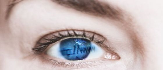 Piata de publicitate online din Romania a crescut cu 7%, in 2014, la 25,4 mil. euro. Cine sunt cei mai mari investitori