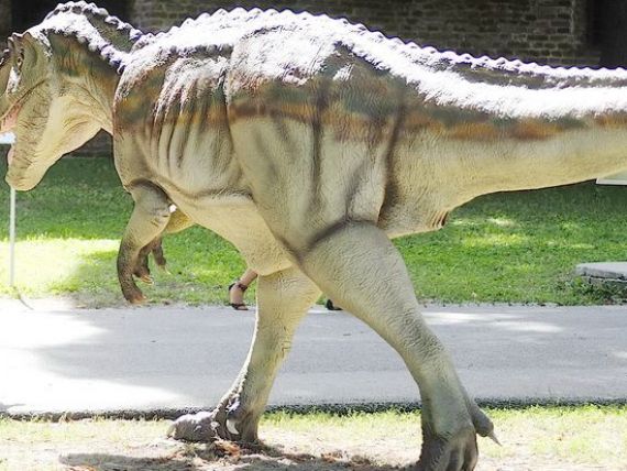 Dino Parc, cel mai mare parc de dinozauri din sud-estul Europei, s-a deschis la Rasnov. Pretul biletelor