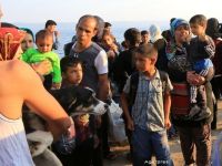 Situatie dramatica in insula Kos, asaltata de imigranti. Grecii, acuzati ca i-au inghesuit pe un stadion abandonat