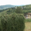 Casa ecologica ce-ti reduce facturile la jumatate. Cat costa o astfel de locuinta