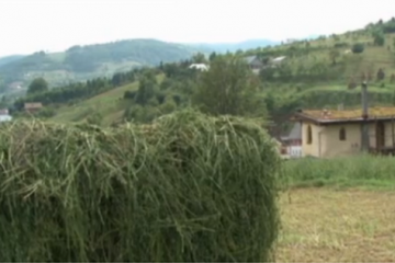 Casa ecologica ce-ti reduce facturile la jumatate. Cat costa o astfel de locuinta