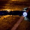 Volkswagen dezvaluie ca exista un nou soft suspect, instalat pe modelele din 2016