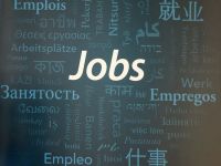 
	Numarul locurilor de munca vacante in Romania a urcat la 54.700, in T4 din 2015. Domeniile cu cele mai multe joburi
