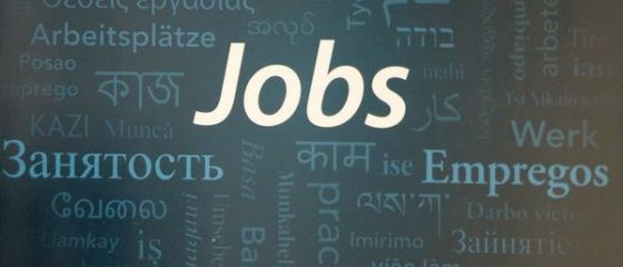 Numarul locurilor de munca vacante in Romania a urcat la 54.700, in T4 din 2015. Domeniile cu cele mai multe joburi