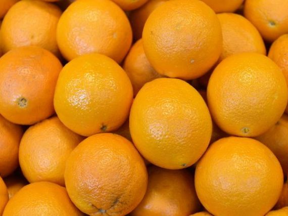 Pretul sucului de portocale, in crestere. Recolta din Florida va cobori la cel mai scazut nivel din ultimii 52 de ani