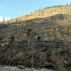 Romania, in cea mai grava criza a padurilor din ultimii 25 de ani. Judetele din topul Greenpeace al defrisarilor ilegale