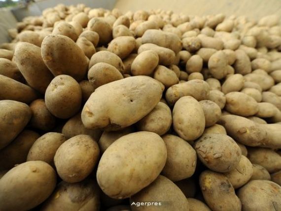 Cartofii si legumele, in topul scumpirilor, cu cresteri de preturi de peste 2,5% de la o luna la alta