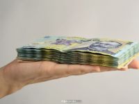 
	BNR: Falsurile de bancnote romanesti au crescut cu 70%, anul trecut
