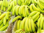 178 kg de cocaina, descoperite intr-o incarcatura cu banane. Drogurile, evaluate la circa 27 mil. dolari