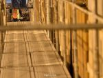 Investitiile industriale imobiliare in Romania au atins un nivel record, de 389 milioane dolari, in 2015