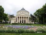 Bucurestenii, intre cei mai nemultumiti de orasul lor, alaturi de parizieni si atenieni. In ce capitale europene se traieste cel mai bine