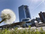 BCE a mentinut dobanda-cheie, dupa ce in luna martie a adus-o la nivelul zero, pentru prima data in istoria institutiei