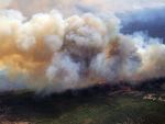 Temperaturile record din SUA au curmat 4 vieti. 50 de grade Celsius si incendii devastatoare