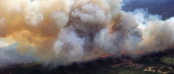 Pretul petrolului creste, ca urmare a incendiului din principala regiune producatoare a Canadei