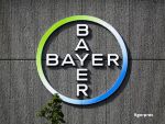 Grupul german Bayer preia Monsanto si creeaza cel mai mare furnizor de seminte modificate genetic si erbicide