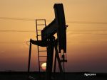 OMV a semnat un acord de concesiune în valoare de 1,5 miliarde de dolari cu Abu Dhabi National Oil Company