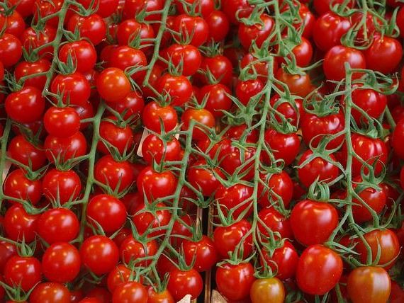 Programul Roșia românească va continua și în 2019. Câți bani primesc fermierii de la stat pentru culturile de tomate