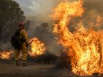 Incendiile fac ravagii în Amazon. Norul de fum se vede din spațiu. VIDEO