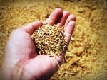 Tinerii vor sa faca afaceri la sate. Finantarile nerambursabile pentru instalarea tinerilor fermieri la tara s-au terminat cu 3 luni mai devreme