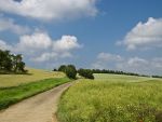 Romania, te iubesc! Subventiile de la UE ne lasa fara pasuni. Legile strambe si lacomia alesilor au distrus pajistile Romaniei
