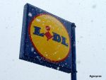 Lantul german Lidl face recrutari in SUA. Retailerul intra pe piata americana in 2017, facand concurenta conationalilor de la Aldi