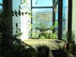 Romania, te iubesc: Romanii care au construit casa ce produce mai multa energie decat consuma si copacul care iti incarca telefonul de la soare