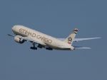 Directorul Etihad dezminte zvonurile privind intentia companiei de a prelua Lufthansa, dar confirma discutiile legate de o cooperare extinsa